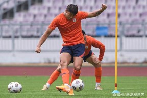 米乐官网app - 多伦多猛龙队有冠军吗 