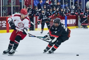 米乐体育官网 - 海底小纵队鲸鲨是哪一集 