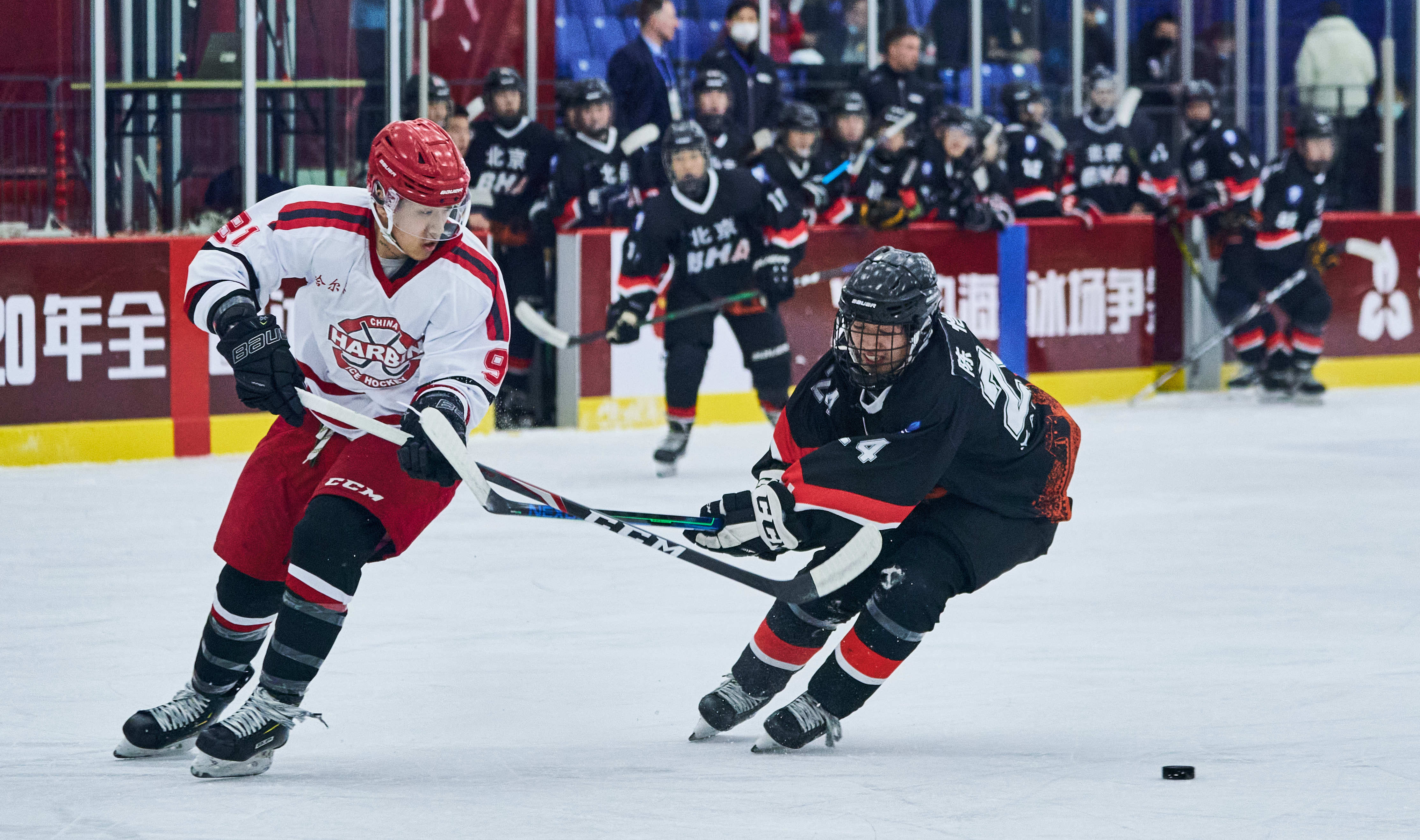 海底小纵队鲸鲨是哪一集 海底小纵队鲸鲨是哪一集